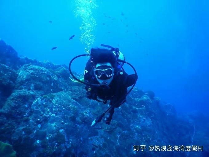 公路坦克战